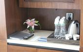 Туры в отель Hyatt Ahmedabad
