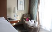 Туры в отель Hyatt Ahmedabad