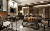 Туры в отель Hyatt Ahmedabad