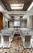 Туры в отель Hyatt Ahmedabad