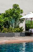 Туры в отель Hyatt Ahmedabad