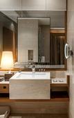Туры в отель Hyatt Ahmedabad