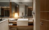 Туры в отель Hyatt Ahmedabad
