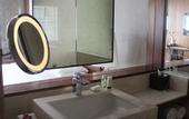 Туры в отель Hyatt Ahmedabad