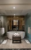 Туры в отель Hyatt Ahmedabad