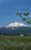 Туры в отель Art Hotel Hirosaki City