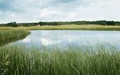 Туры в отель Precise Resort Bad Saarow