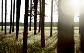 Туры в отель Precise Resort Bad Saarow