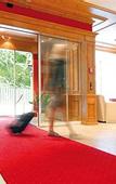 Туры в отель Dormero Hotel Plauen