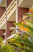 Туры в отель Hillcrest Merimbula