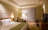 Туры в отель Holiday Inn North Chongqing