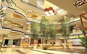 Туры в отель Shengdu International Hotel