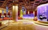 Туры в отель Shengdu International Hotel