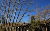 Туры в отель Pullman Lijiang Resort & Spa