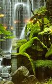 Туры в отель Hotel Nishi-no-Miyabi Tokiwa