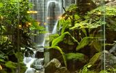 Туры в отель Hotel Nishi-no-Miyabi Tokiwa