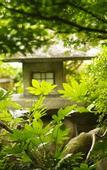 Туры в отель Hotel Nishi-no-Miyabi Tokiwa