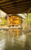 Туры в отель Hotel Nishi-no-Miyabi Tokiwa