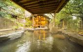 Туры в отель Hotel Nishi-no-Miyabi Tokiwa
