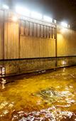 Туры в отель Hotel Nishi-no-Miyabi Tokiwa