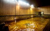 Туры в отель Hotel Nishi-no-Miyabi Tokiwa