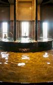 Туры в отель Hotel Nishi-no-Miyabi Tokiwa