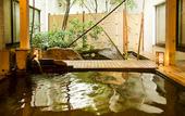 Туры в отель Hotel Nishi-no-Miyabi Tokiwa