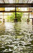 Туры в отель Hotel Nishi-no-Miyabi Tokiwa