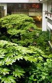 Туры в отель Hotel Nishi-no-Miyabi Tokiwa