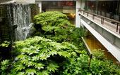 Туры в отель Hotel Nishi-no-Miyabi Tokiwa
