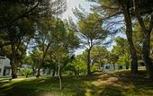 Туры в отель Insotel Club Maryland