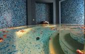 Туры в отель BV Grand Hotel Assisi