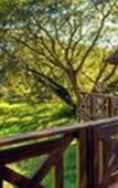Туры в отель Bonamanzi Game Reserve