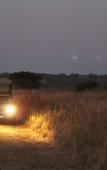 Туры в отель Bonamanzi Game Reserve
