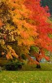 Туры в отель Towada Prince Hotel
