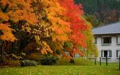 Туры в отель Towada Prince Hotel