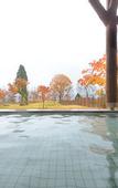 Туры в отель Towada Prince Hotel