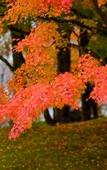 Туры в отель Towada Prince Hotel
