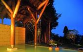 Туры в отель Towada Prince Hotel