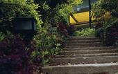 Туры в отель Zhejiang Xizi Hotel · Wangzhuang · West Lake Famous Garden