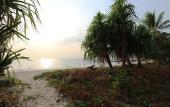 Туры в отель Relax Bay Beach Resort