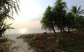 Туры в отель Relax Bay Beach Resort