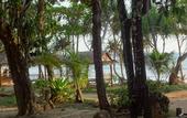 Туры в отель Relax Bay Beach Resort