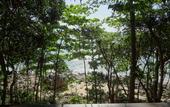 Туры в отель Relax Bay Beach Resort