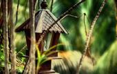 Туры в отель Shanti Boutique Hotel
