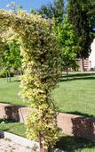 Туры в отель Villa Borri Terme