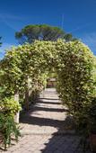 Туры в отель Villa Borri Terme