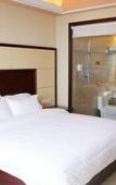 Туры в отель Vienna International Hotel (Hangzhou West Lake Cultural Square Metro Station)