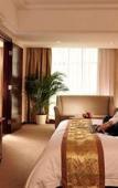 Туры в отель Vienna International Hotel (Hangzhou West Lake Cultural Square Metro Station)