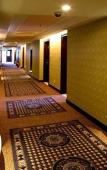 Туры в отель Vienna International Hotel (Hangzhou West Lake Cultural Square Metro Station)